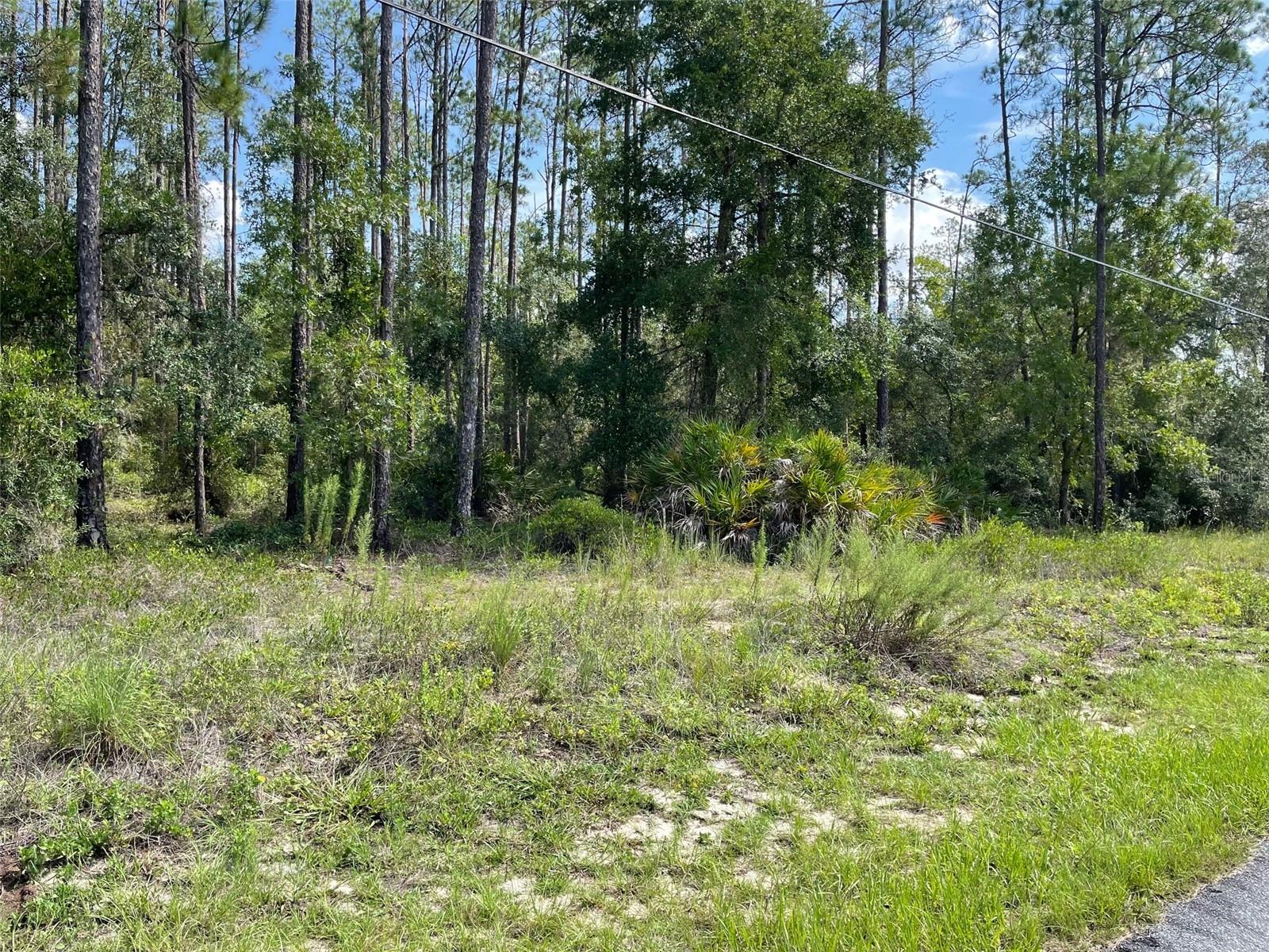 LOT 23 SW TIGER LAKE BOULEVARD W