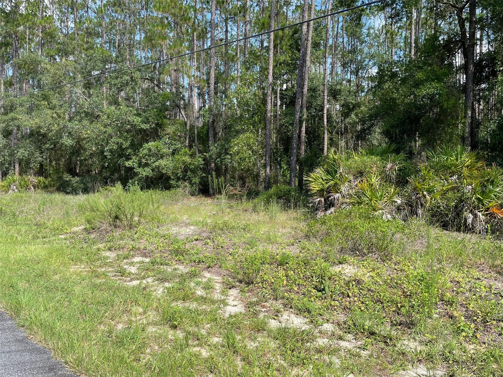 LOT 23 SW TIGER LAKE BOULEVARD W