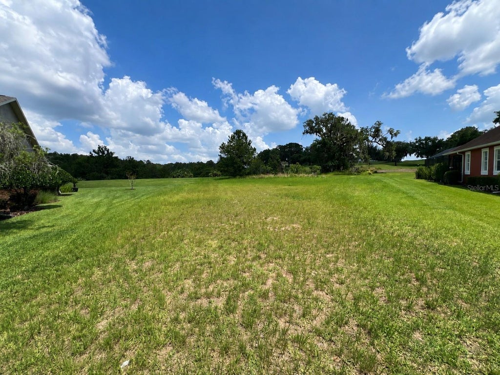 Photo of 19492 Forest Garden Court, Brooksville, FL 34601 (MLS # O6412440)