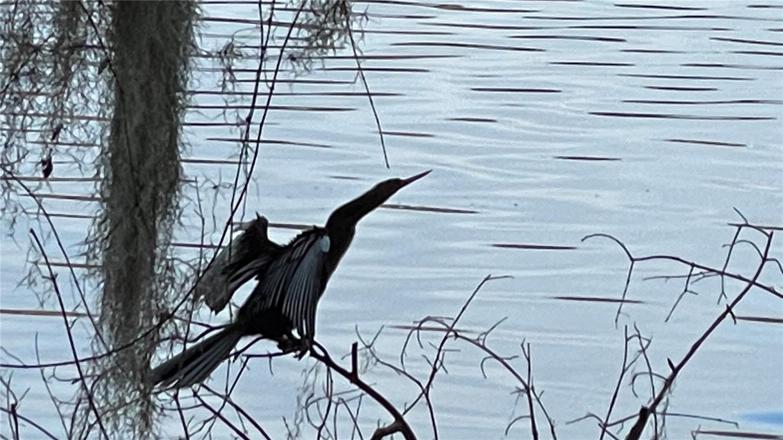 BIVENS LAKE ESTATE S - Residential