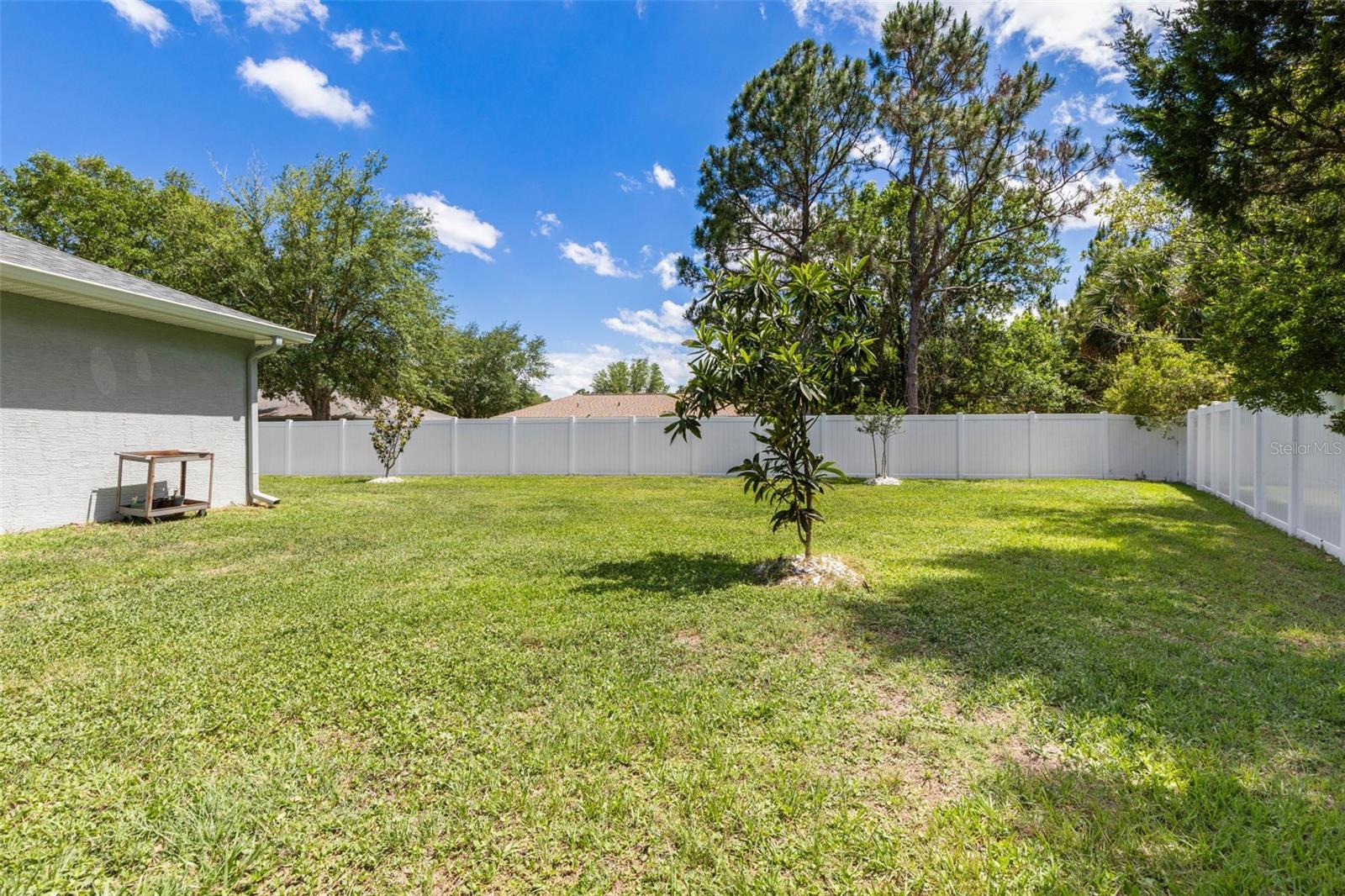 PALM COAST ULYSSES TREES SEC57 - Residential