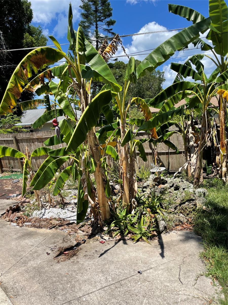 Florida Shores 01 - Residential