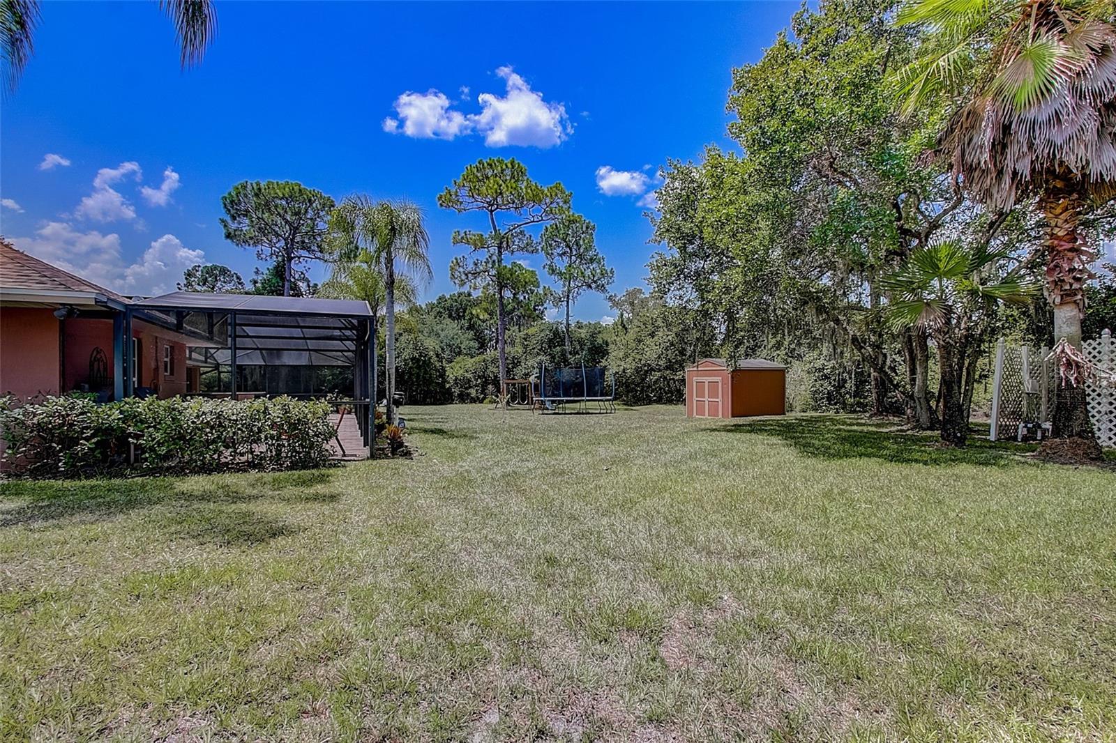 LIVE OAK ESTATES - Residential