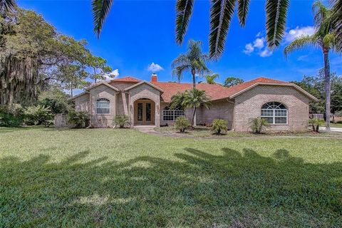 Photo of 12202 Rambling Oak Boulevard, Orlando, FL 32832 (MLS # O6387430)
