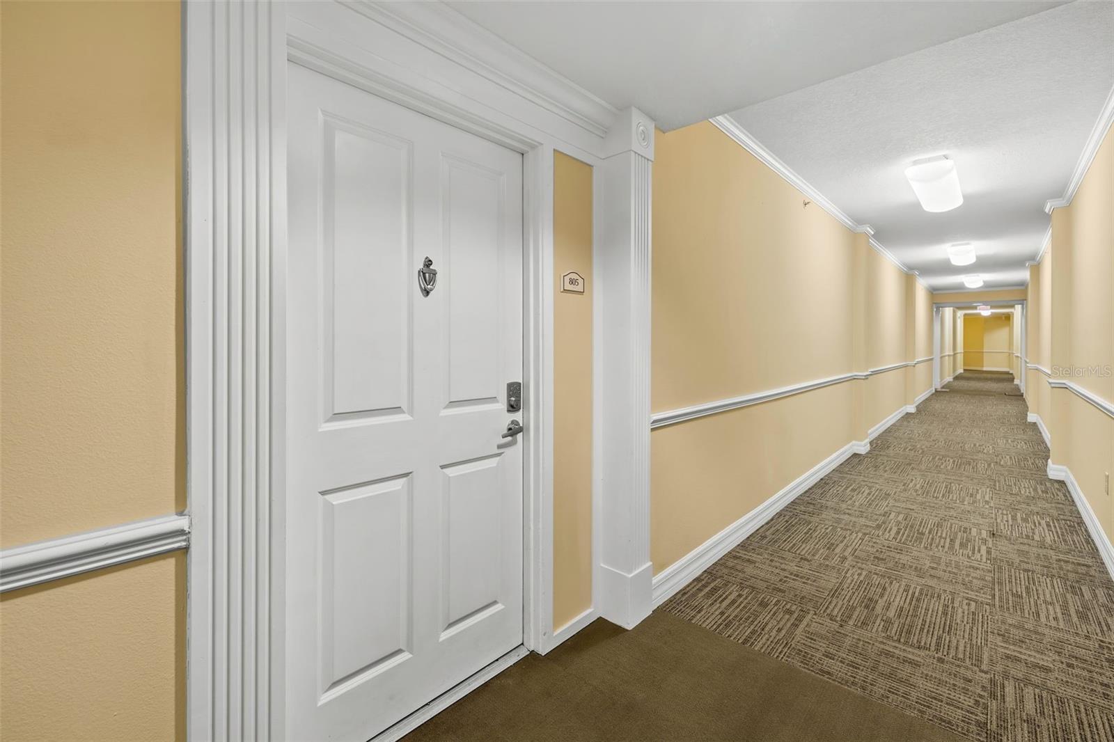 4516 SEAGULL DRIVE 805