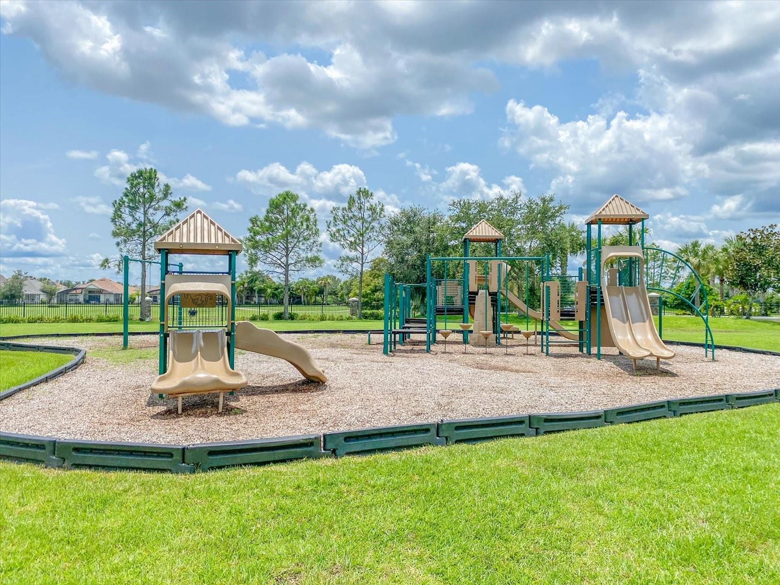 SHINGLE CREEK RESERVE AT THE OAKS PH 5 - Residential