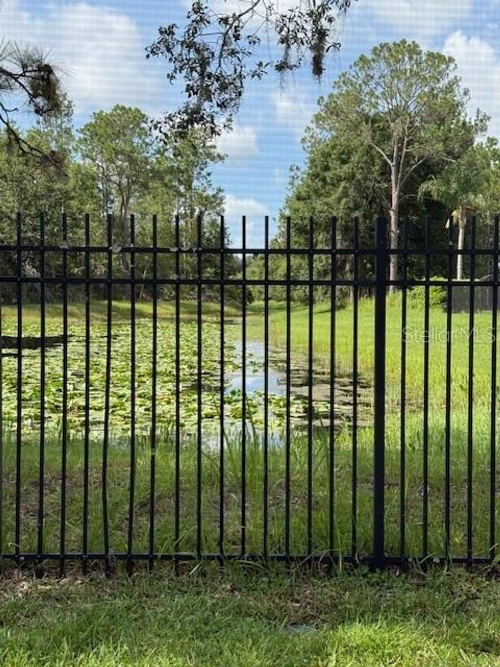 Photo of 21004 Tangor Road, Land O Lakes, FL 34637 (MLS # TB8409906)