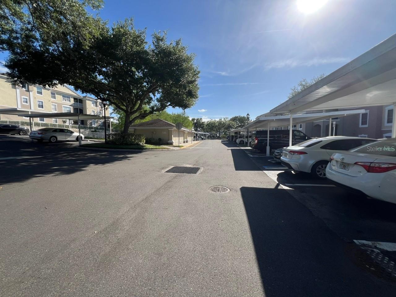 586 BRANTLEY TERRACE WAY 307