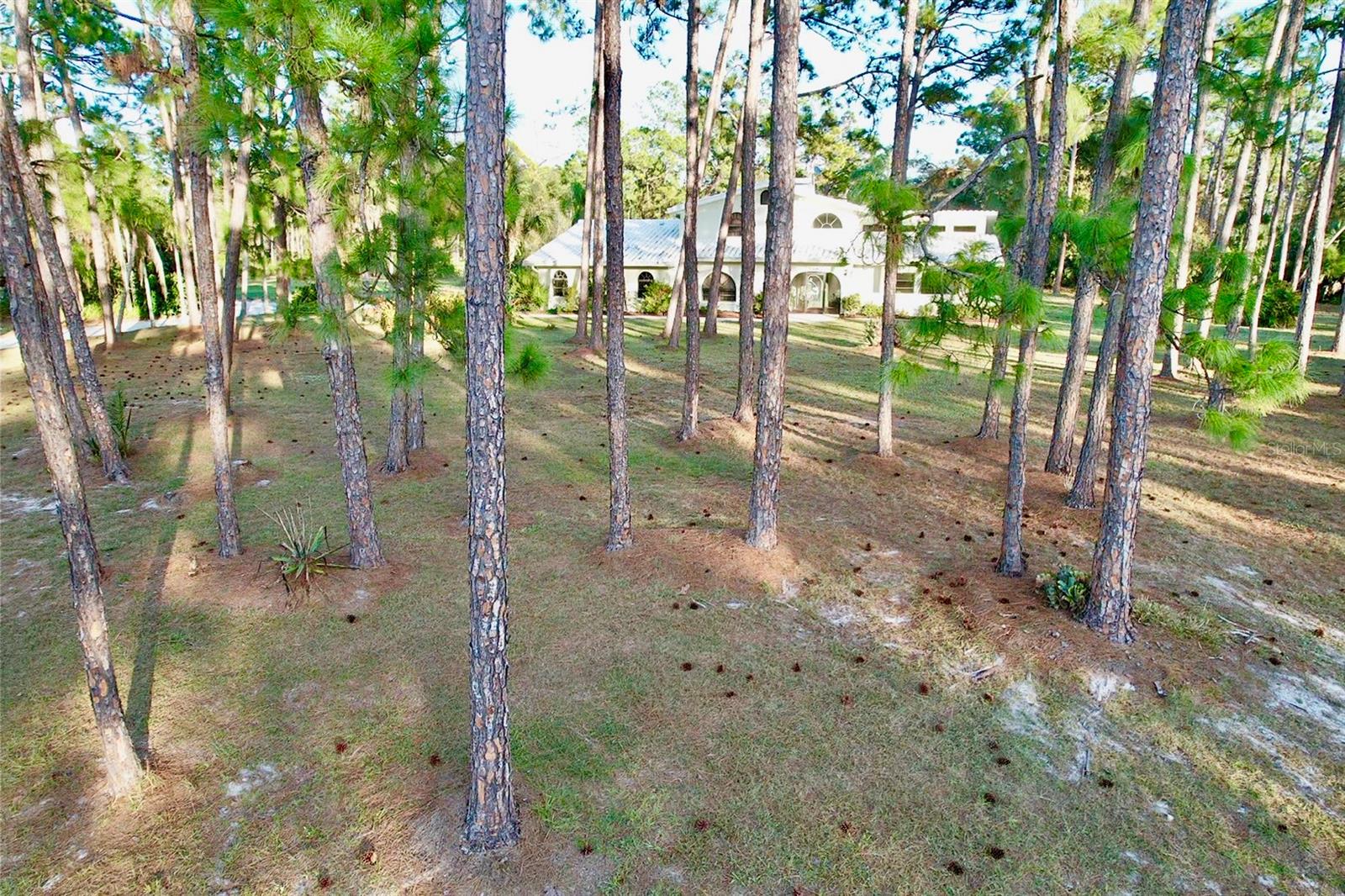 NORTH PORT CHARLOTTE ESTATES - Residential