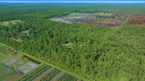 Tiny photo for 11521 SE 1st Street Road, Silver Springs, FL 34488 (MLS # OM701748)
