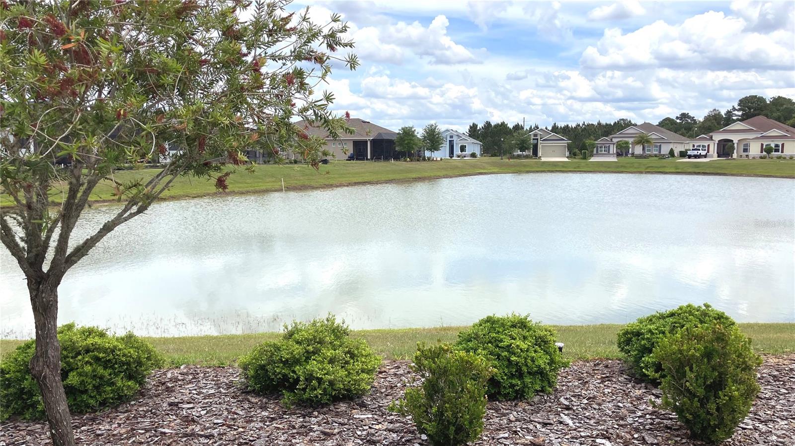 LAKES OF MOUNT DORA - Residential