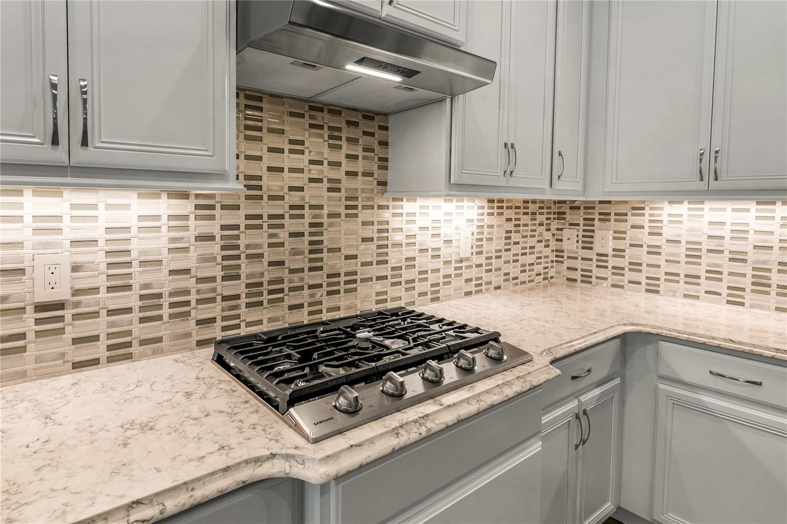 LAKES OF MOUNT DORA - Residential