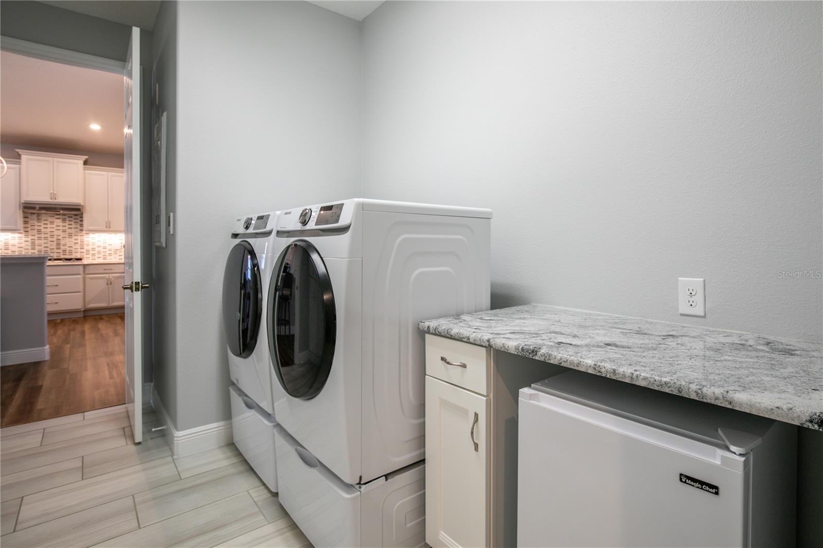 LAKES OF MOUNT DORA - Residential