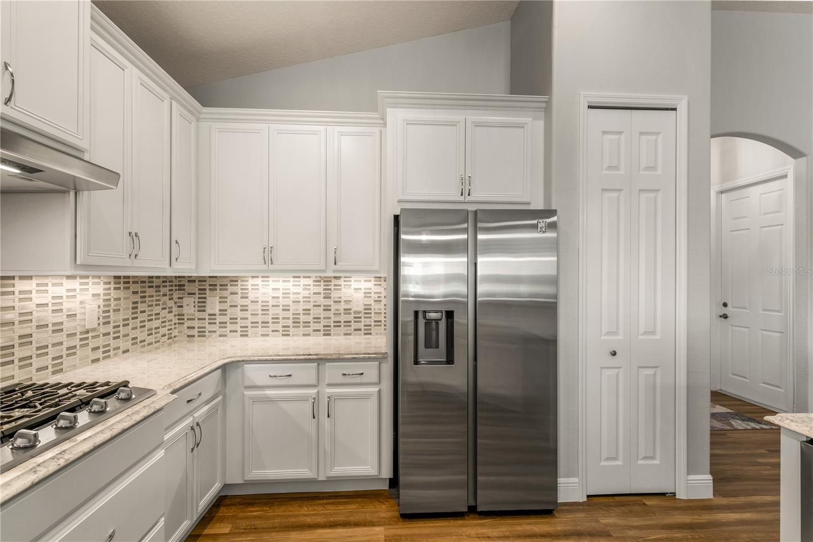 LAKES OF MOUNT DORA - Residential