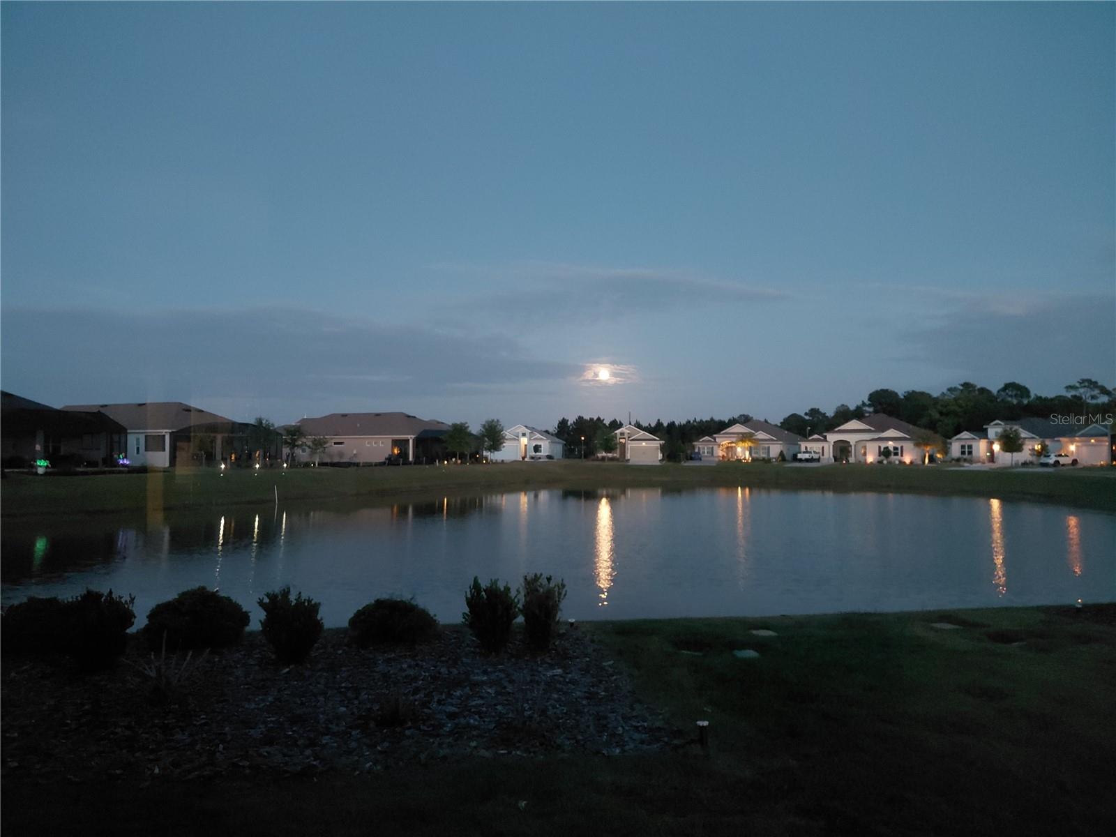 LAKES OF MOUNT DORA - Residential