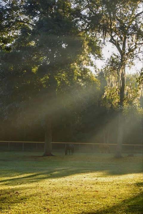 Tiny photo for 18251 NW 141st Avenue, Williston, FL 32696 (MLS # OM728983)