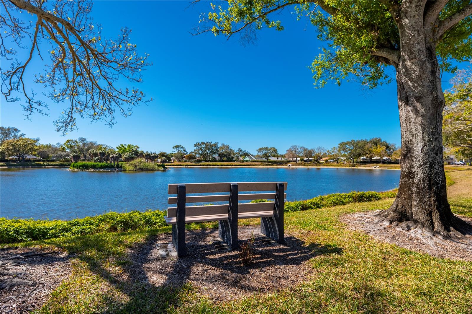 CHESTNUT CREEK PATIO HOMES - Residential