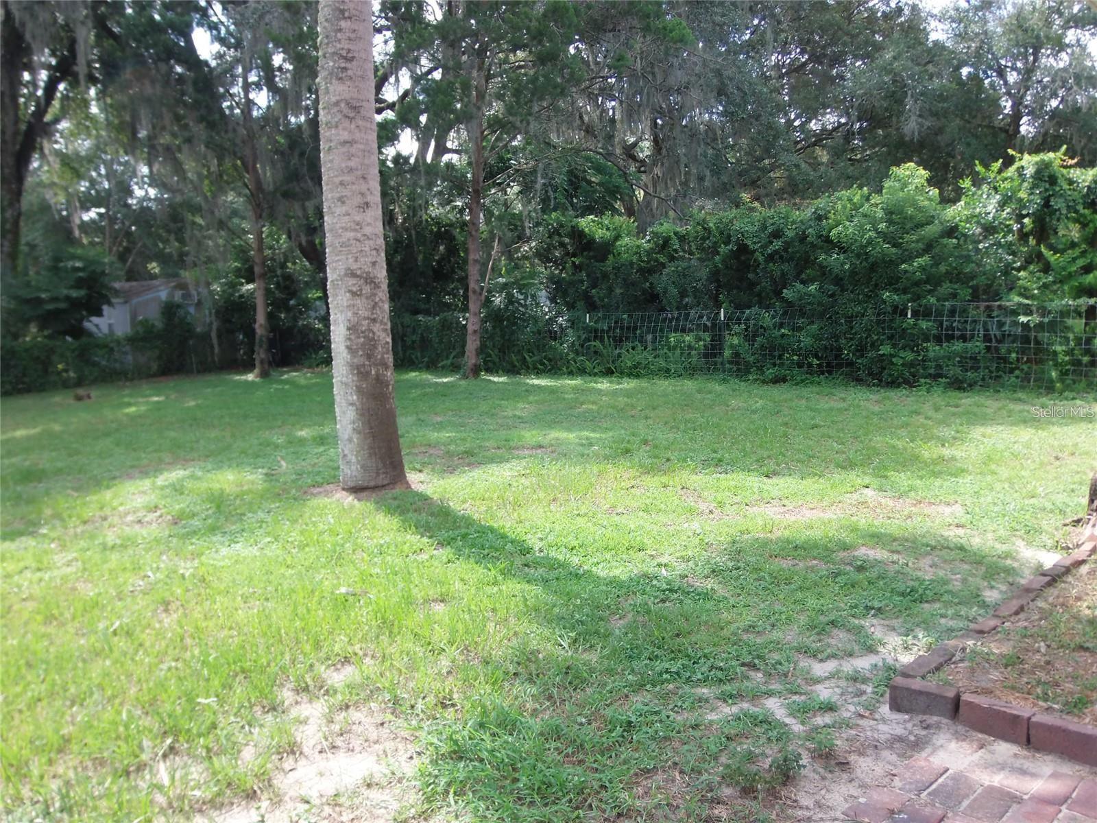 MOUNT DORA AVALON - Residential