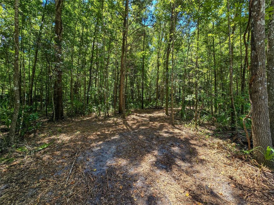 Come check out this 1.1-acre property with majestic old-growth live oaks, abundant wildlife, and a peaceful setting that feels quiet and tucked away. It’s an ideal spot for your future homesite, with easy access to some of the area’s best outdoor recreation. Turner Camp Boat Ramp and the Withlacoochee River are less than five minutes away for boating, fishing, and kayaking, while nearby Potts Preserve offers camping, biking, horseback riding, and seasonal hunting. While the property feels calm and tucked away, downtown Inverness is just a short drive away for shops, restaurants, and local amenities.

Seller financing is available.