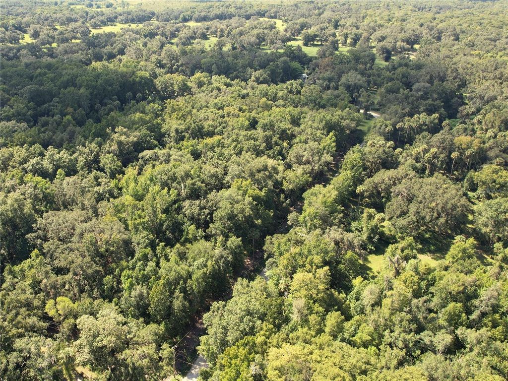 Photo of 2381 N Jennifer Terrace, Inverness, FL 34453 (MLS # OM724232)