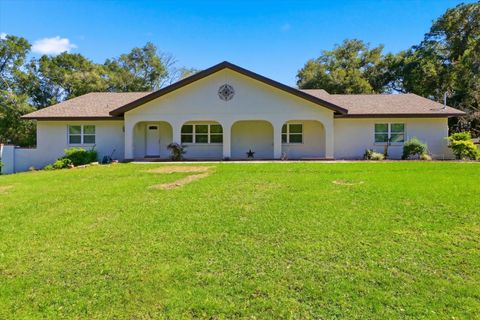 Photo of 4349 S Culver Terrace, Inverness, FL 34452 (MLS # TB8442585)