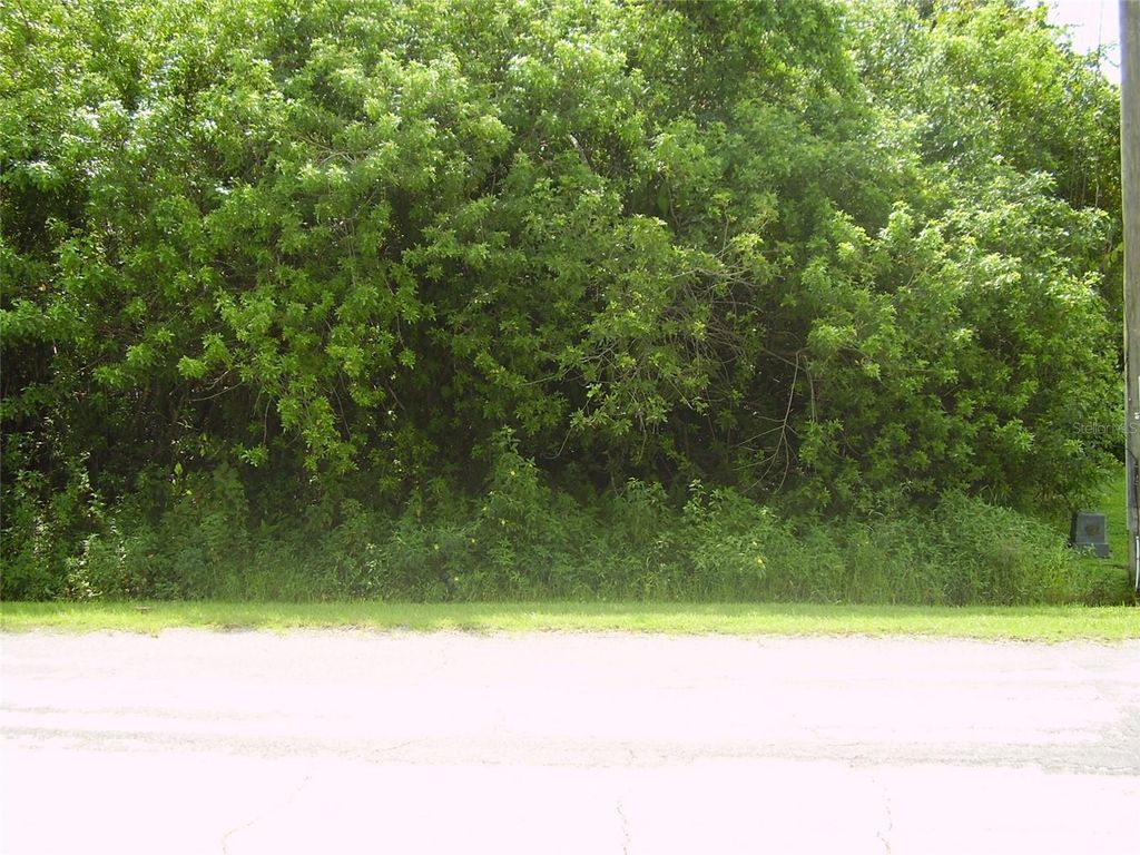 Photo of 321 Caen Court, Kissimmee, FL 34759 (MLS # R4909986)