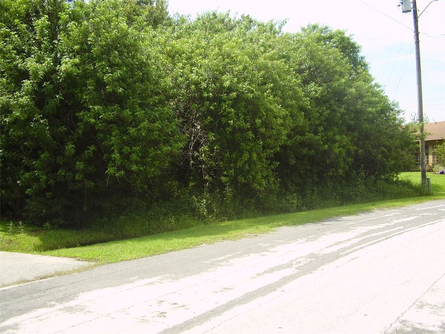 BUY THIS BEAUTIFUL 11,718 SQUARE FEET DUPLEX LOT WITH A POND IN THE REAR OF LOT, WHERE YOU CAN BUILD A TWO-FAMILY HOME, ONE OR TWO STORIES HIGH, WITH CITY WATER AND SEWER READY IN THE OSCEOLA COUNTY SIDE OF POINCIANA IN AN ALREADY ESTABLISHED NEIGHBORHOOD. JUST IMAGINE YOURSELF HAVING COFFEE ON YOUR PORCH AND LOOKING INTO THE BEAUTIFUL POND. YOU MAY OBTAIN A VARIANCE TO BUILD A SINGLE-FAMILY HOME, IF YOU DON'T NEED A TWO-FAMILY HOME. POINCIANA IS LOCATED 45 MINUTES AWAY FROM ORLANDO INTERNATIONAL AIRPORT, NEXT TO DISNEY'S ATTRACTIONS.  SEAWORLD, UNIVERSAL STUDIOS, LEGOLAND AND ALL THE OTHER ATTRACTIONS CENTRAL FLORIDA IS FAMOUS FOR ARE ONLY MINUTES AWAY.  ENJOY THE ATLANTIC OCEAN BEACHES LIKE DAYTONA BEACH, COCOA BEACH, MELBOURNE BEACH, ETC. OR IF YOU PREFER THE GULF OF MEXICO BEACHES LIKE CLEARWATER BEACH, ST. PETES BEACH, ANAMARIA ISLAND, ETC. POINCIANA HAS ITS OWN SCHOOLS AND LIBRARY, VALENCIA COLLEGE HAS A POINCIANA CAMPUS. POINCIANA HAS PARKS, DOG PARKS, PLAYGROUNDS, GOLF, BASKETBALL COURTS, BASEBALL, SOCCER, FOOTBALL, TENNIS, RACKETBALL, SHUFFLEBOARD, FISHING, TWO SWIMMING POOLS, FITNESS TRAILS, SUPERMARKETS, SHOPPING CENTERS, WALMART SUPERCENTER, HOSPITALS, MEDICAL OFFICES AND ALL MEDICAL SUPORT SERVICES.  POINCIANA HAS IT ALL FOR EVERYONE, WHERE YOU CAN BE AS ACTIVE AS YOU WOULD LIKE, OR JUST RELAX. BUY THIS BEAUTIFUL OVERSIZED DUPLEX LOT AND BUILD YOUR DREAM HOME NOW OR WHENEVER YOU DECIDE. JUST GIVE US A CALL AND WE WILL BE HAPPY TO SHOW IT AND PROVIDE YOU WITH ANY ADDITIONAL INFORMATION YOU MAY REQUIRED.