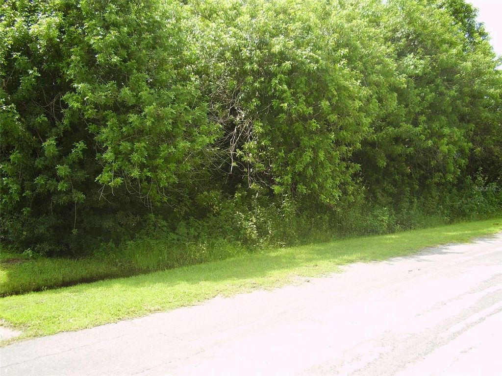 Photo of 321 Caen Court, Kissimmee, FL 34759 (MLS # R4909986)