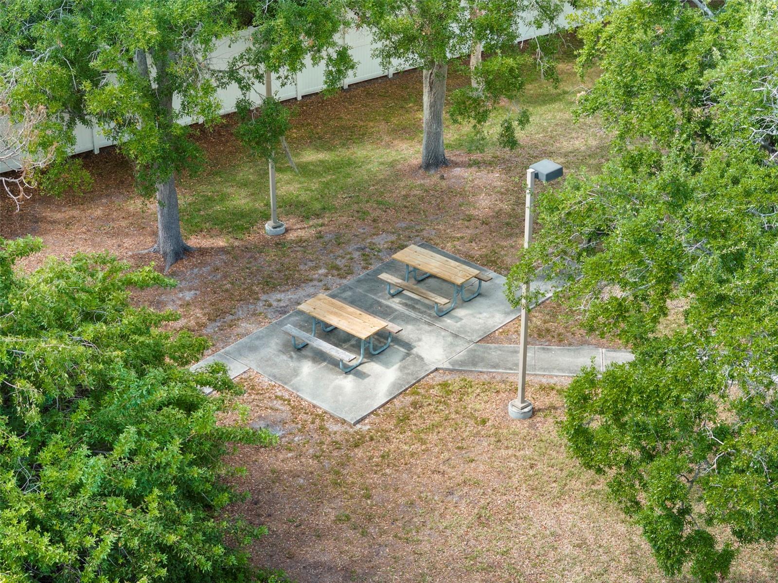 PINE RUSH VILLAS CONDO - Residential