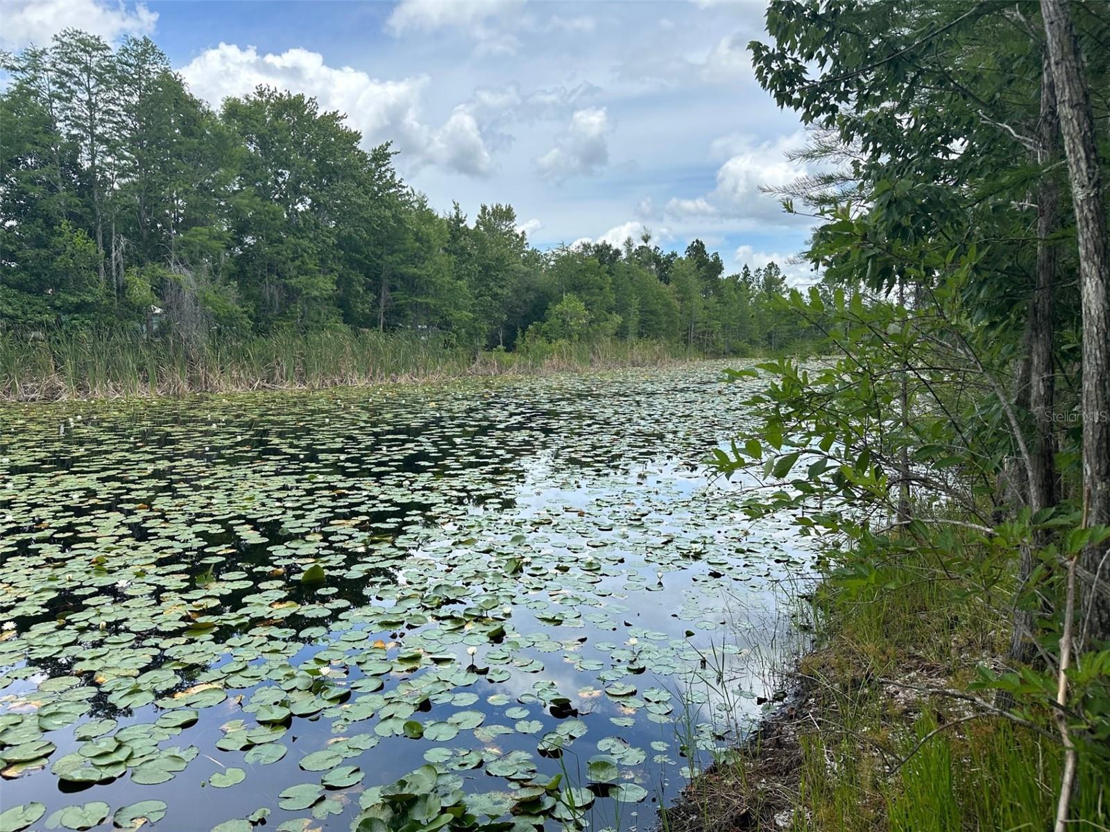 ROYAL HIGHLANDS - Land