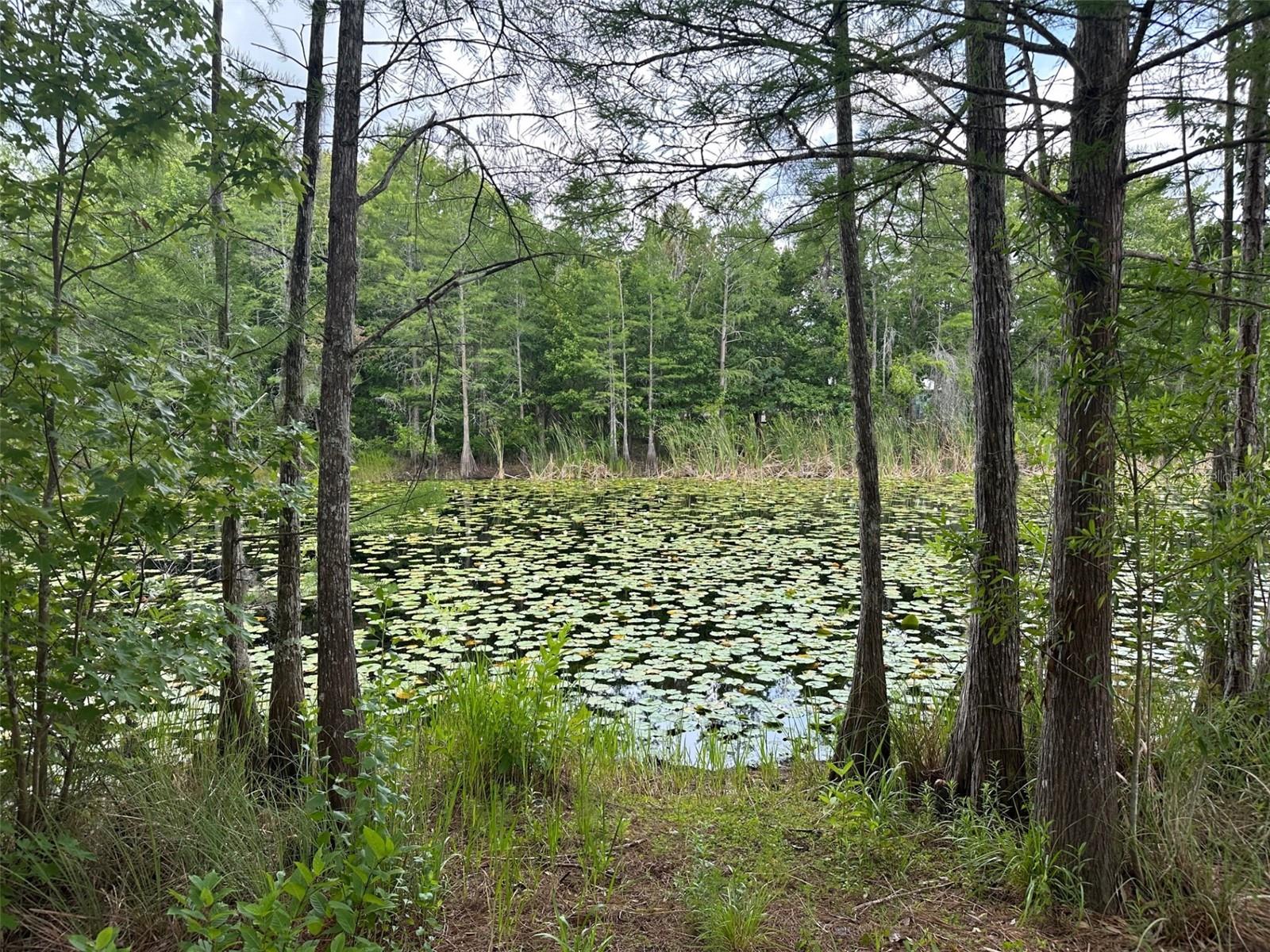 ROYAL HIGHLANDS - Land