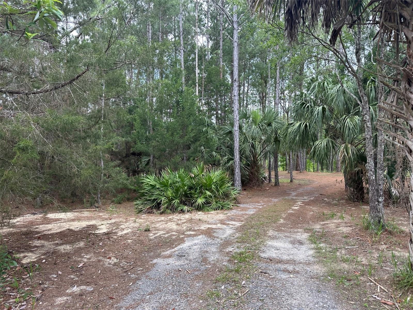 ROYAL HIGHLANDS - Land