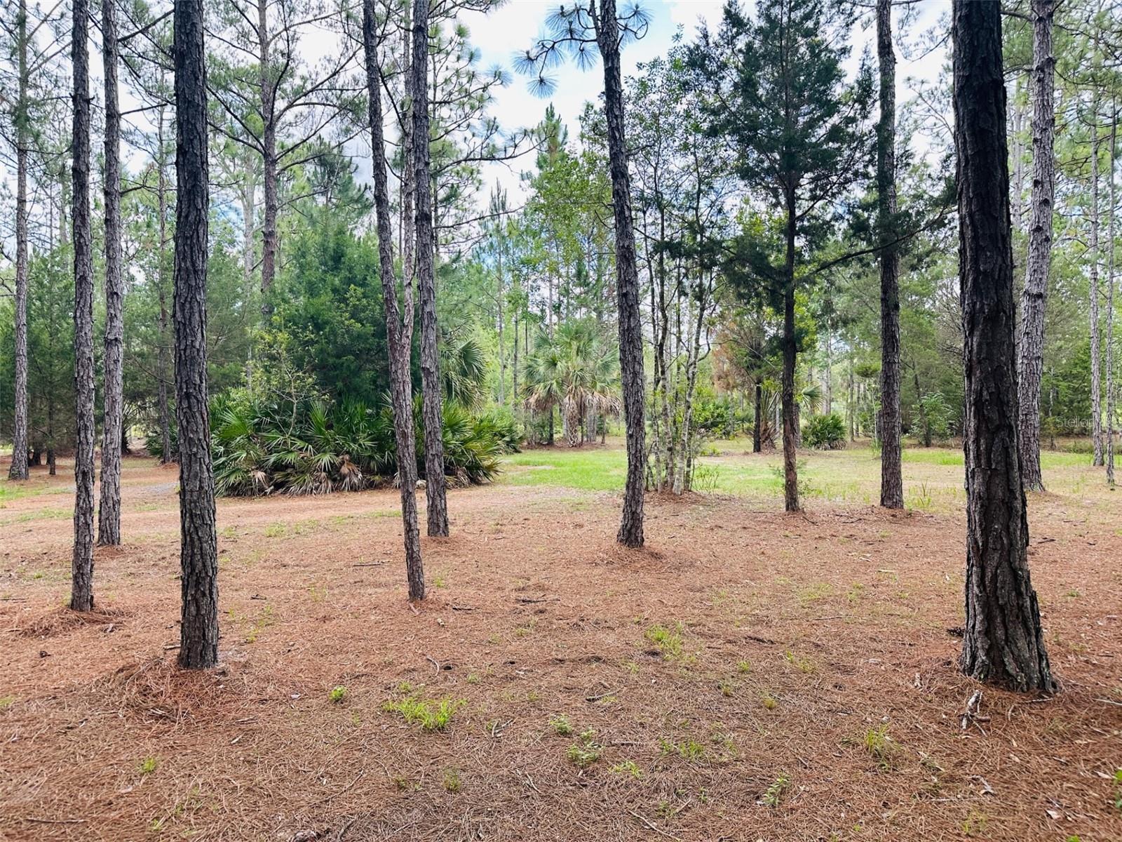 ROYAL HIGHLANDS - Land