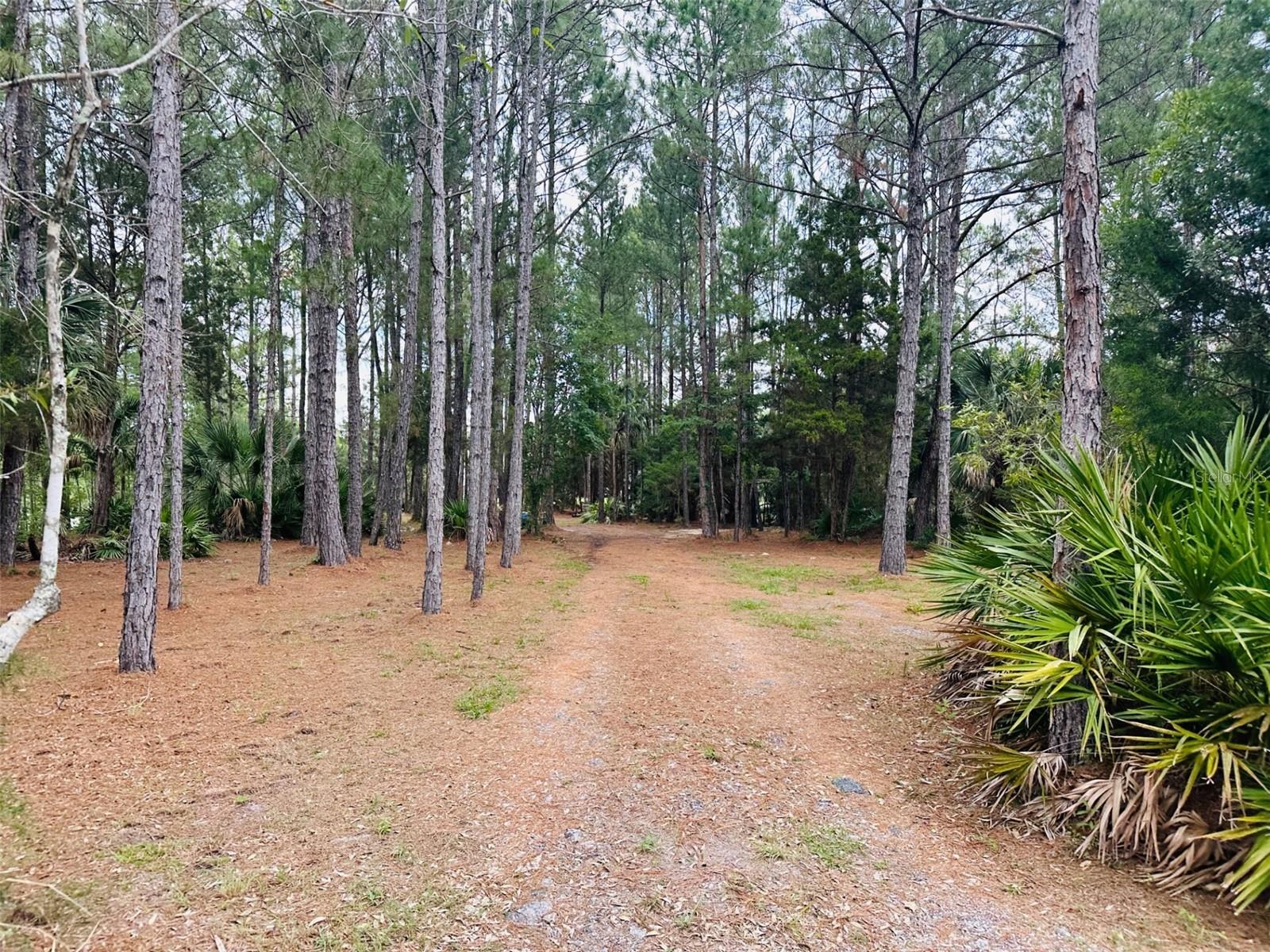 ROYAL HIGHLANDS - Land