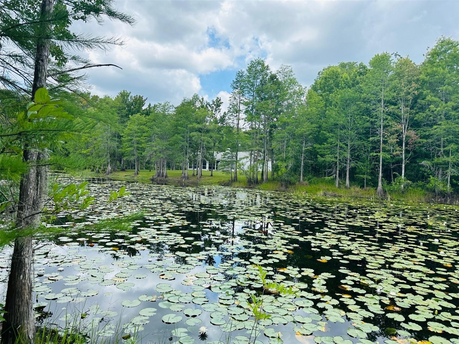 ROYAL HIGHLANDS - Land