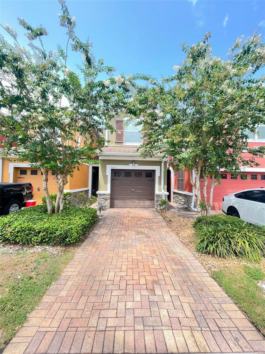 9637 SILVER BUTTONWOOD STREET