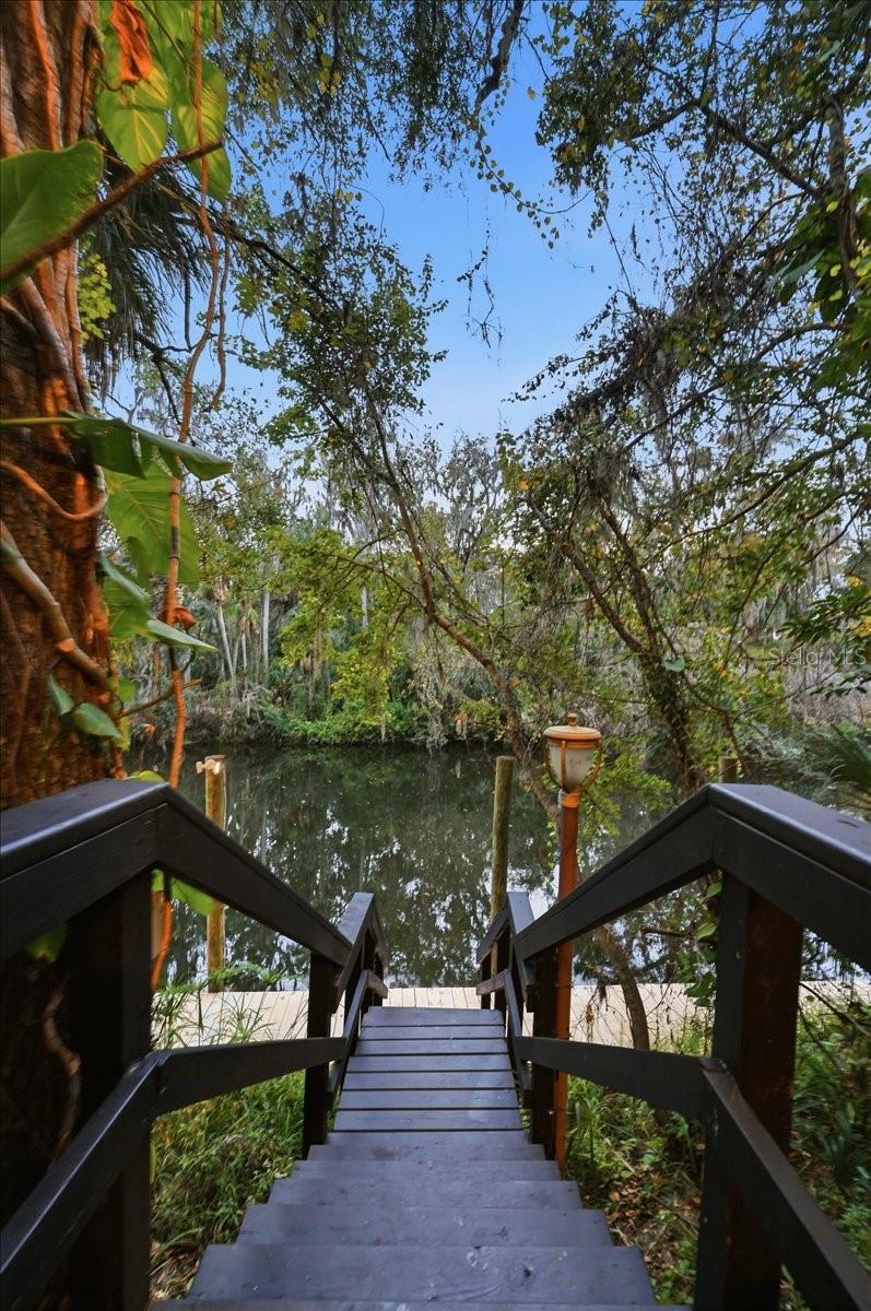 ALAFIA PRESERVE - Residential