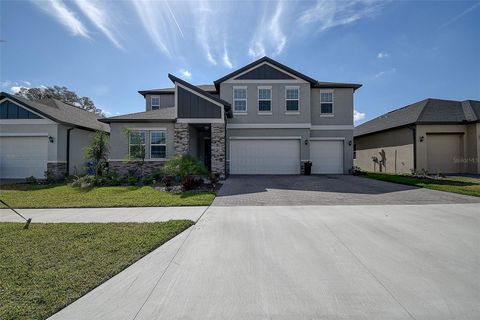 A home in RIVERVIEW