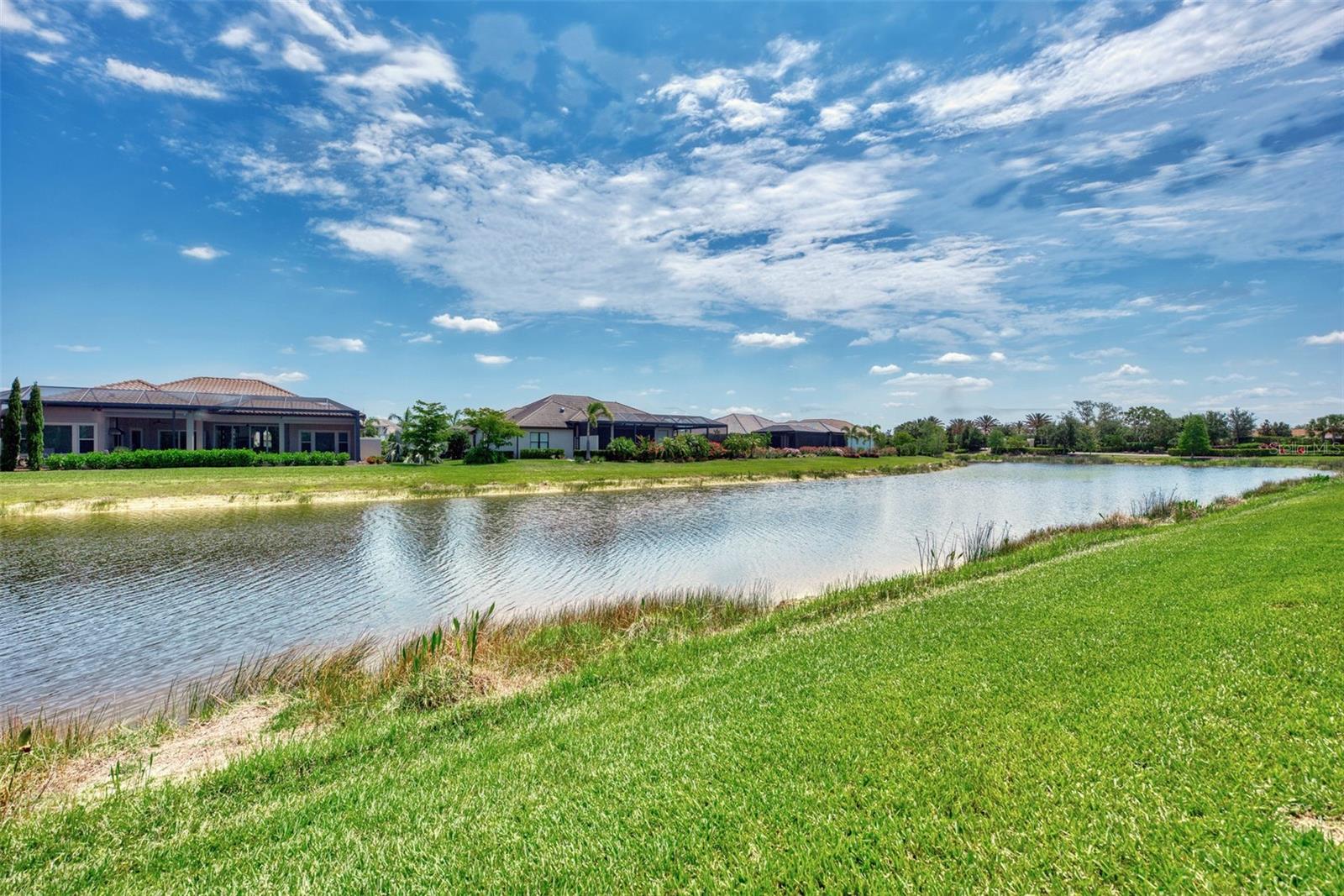 LEGACY ESTATES/ ESPLANADE ON PALMER RANCH - Residential