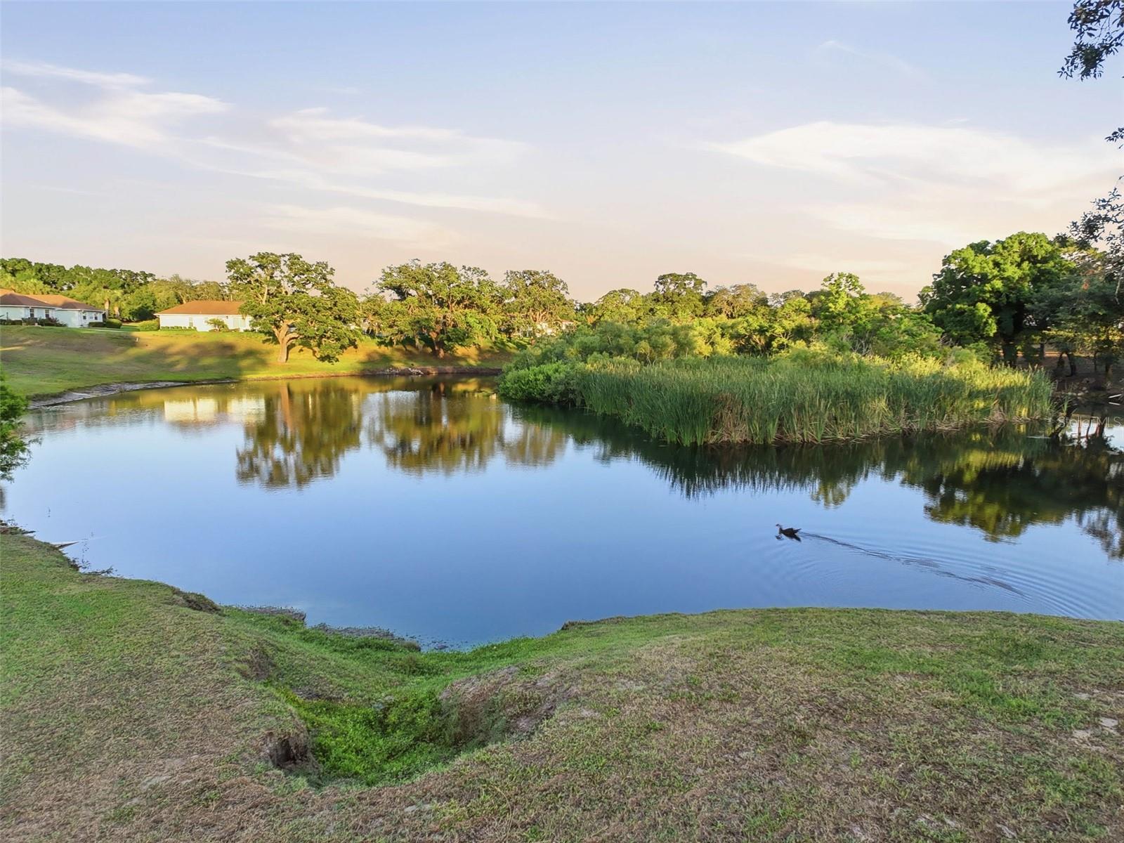 TIMBER OAKS FAIRWAY VILLAS CONDOMINIUM - Residential