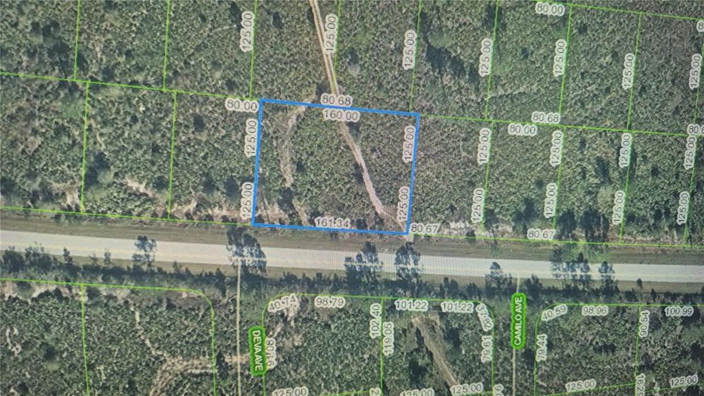 Photo of 8014 Granada Boulevard, Sebring, FL 33872 (MLS # O6398957)