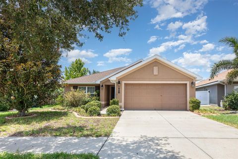 10847 KIRKWALL PORT DRIVE WIMAUMA FL 33598