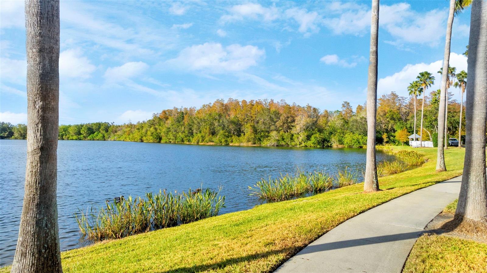 WESTCHASE SEC 430B - Residential Lease