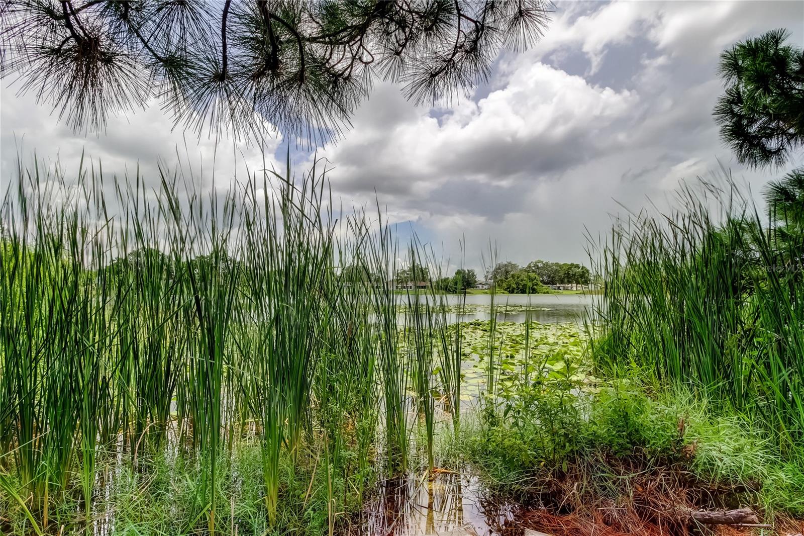 LOGAN GATE VILLG PH III UN 1 - Residential Lease