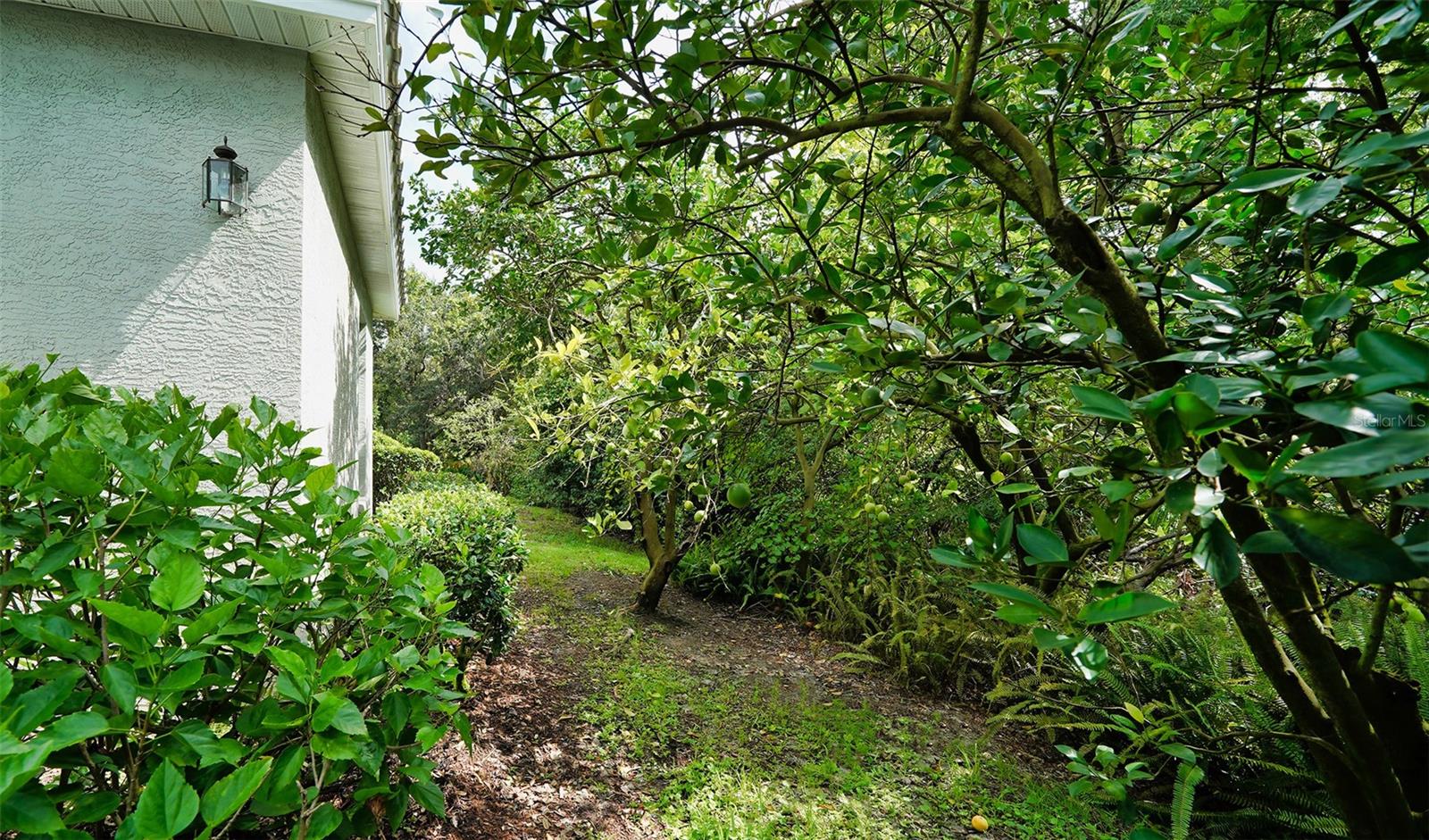 UNIVERSITY PARK COUNTRY CLUB - Residential