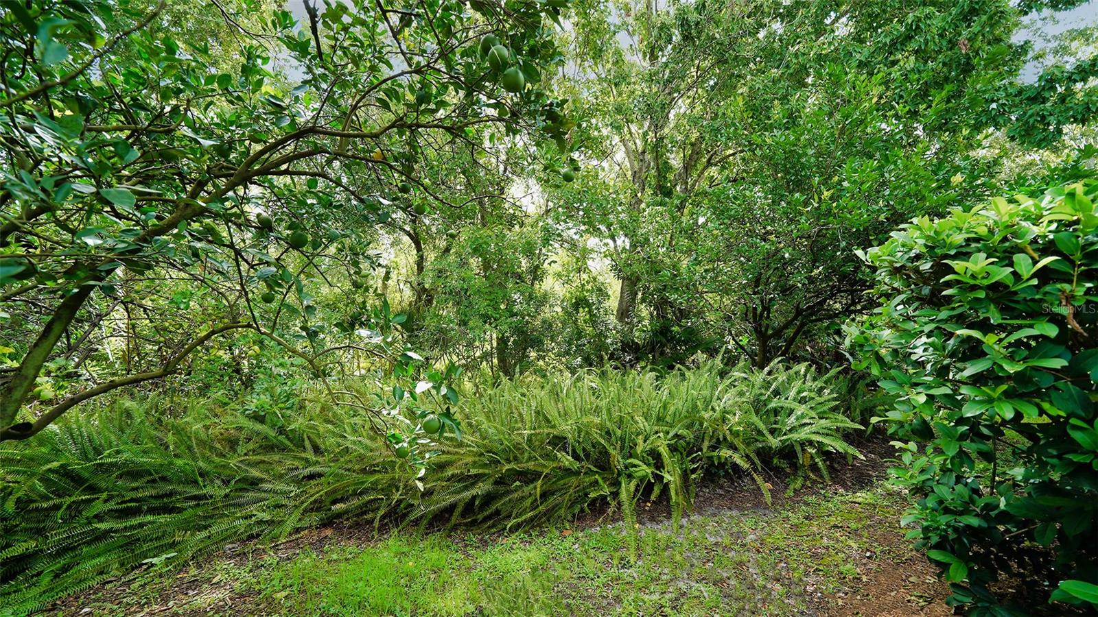 UNIVERSITY PARK COUNTRY CLUB - Residential