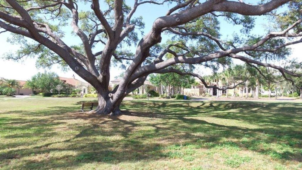 FOUNDERS CLUB - Land