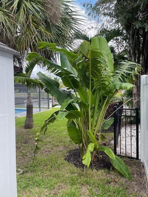 A home in APOLLO BEACH