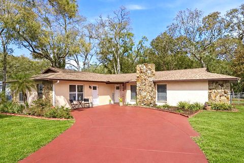 Photo of 314 E 137th Avenue, Tampa, FL 33613 (MLS # TB8474559)