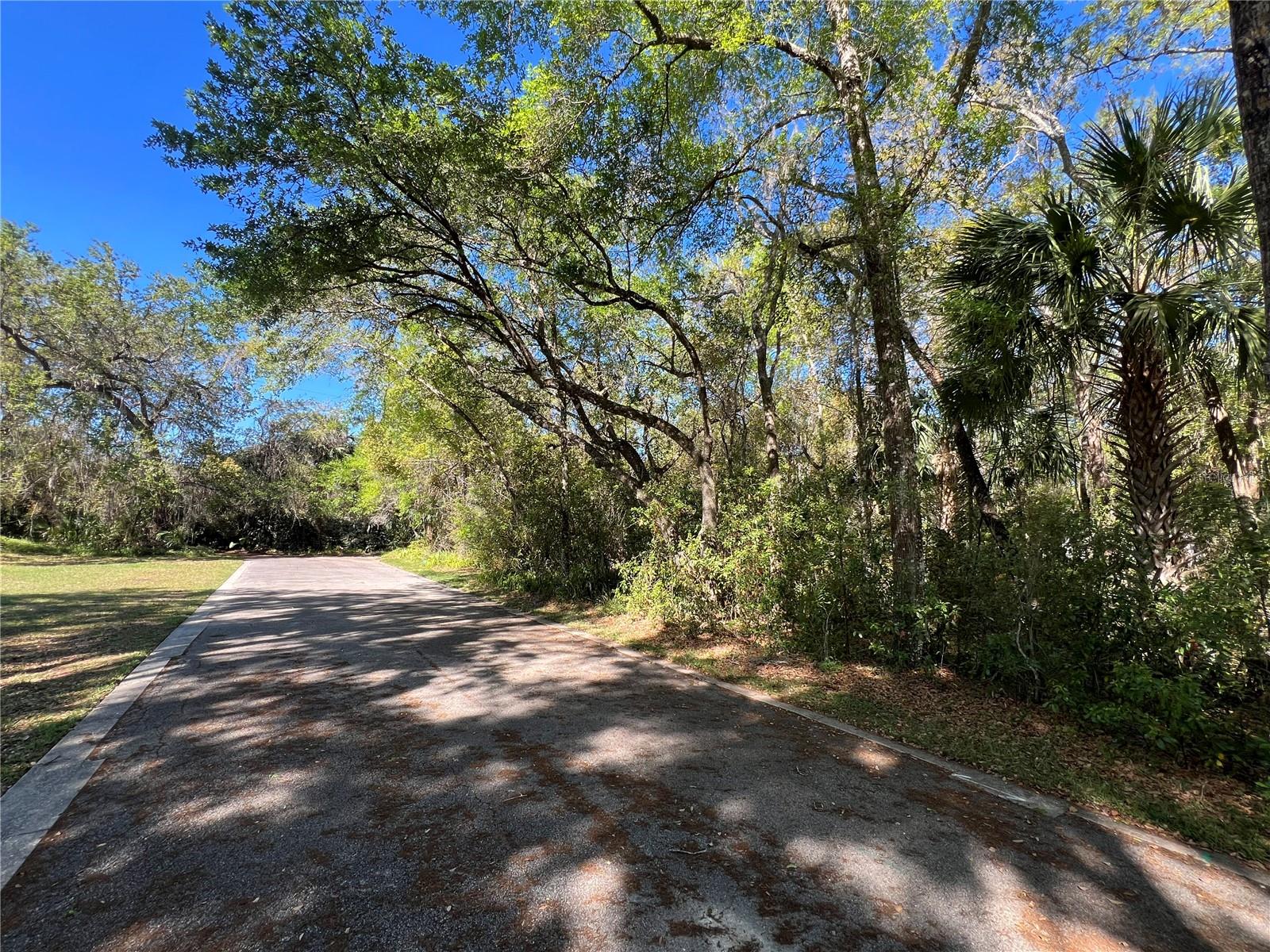 160 CUTBANK TRAIL